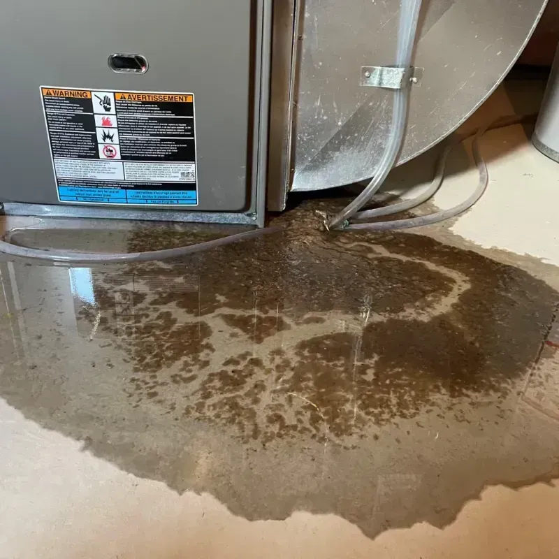 Appliance Leak Cleanup in Schenectady County, NY